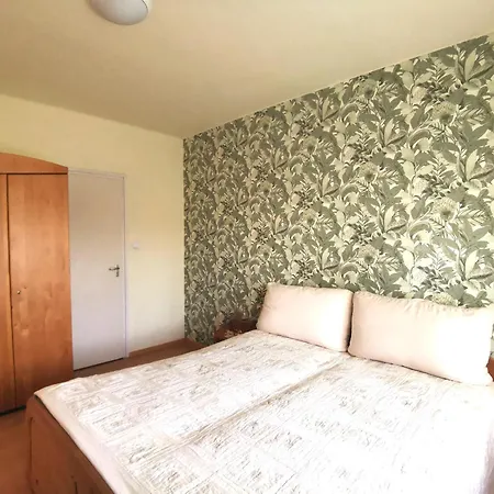 Grosses Ferienhaus Plattensee Balaton - Nyaralo Haz 6 Szobaval, 5 Fuerdoszobaval, 3000 Nm Apartment